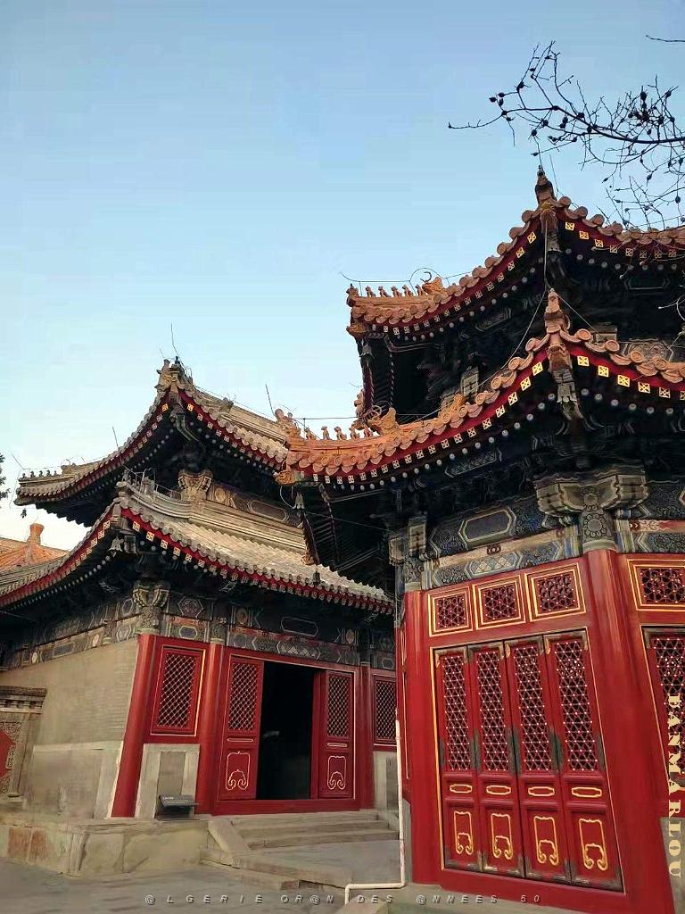 2023 02 05  PEKIN - WANSHOU TEMPLE LONGEVITE BIENVEILLANCE (43).jpg